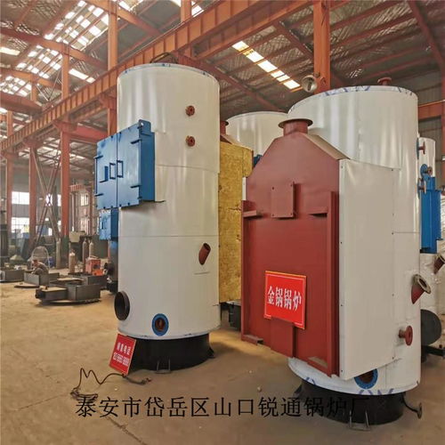 反应釜配套锅炉 大型工业用生物质蒸汽锅炉