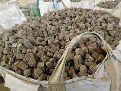 山东济宁生物质电厂燃料-苏州资讯