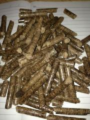 供应河源生物质颗粒商家,工厂锅炉用那种燃料颗粒