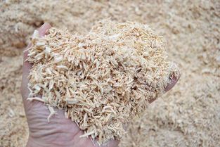 解析生物质颗粒燃料的四大误区