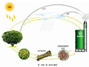 威孚 什么是生物质颗粒燃料及其特点