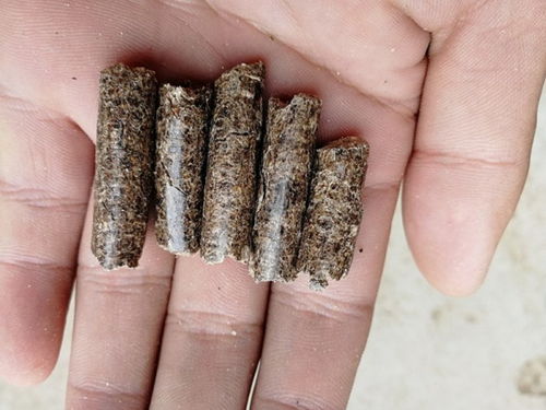 【河南信阳生物质秸秆压块燃料-新乡报价】- 