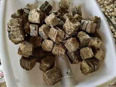 河北邢台生物质压块燃料价格-燃料更新换代