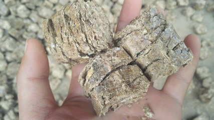 邯郸生物质燃料多少钱一吨