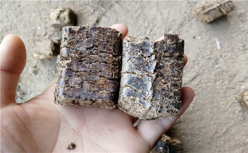 生物质颗粒燃料锅炉报价 厂家
