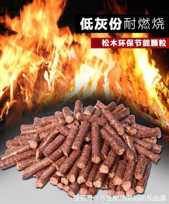 一、生物质松木颗粒燃料是什么?