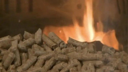 麦子已经丰收了,秸秆生物质颗粒代煤已成新出路