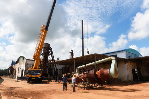 雷州生物质燃料颗粒厂即将投产，助推绿色能源发展