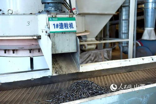 文水县 养牛大县的生态减负与生物质燃料的协同发展