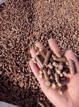 河北邢台生物质压块燃料价格分析及燃料更新换代趋势