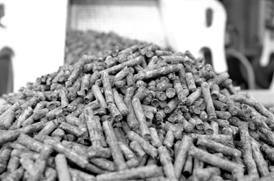 全国单体规模最大甘蔗渣生物质燃料项目在湛江投产，生物质能源产业再添新引擎